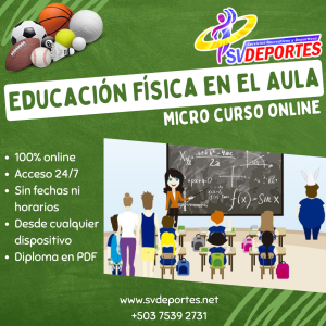 Micro Curso Online: Educación Física en el Aula